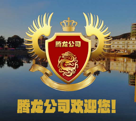关于腾龙娱乐中心